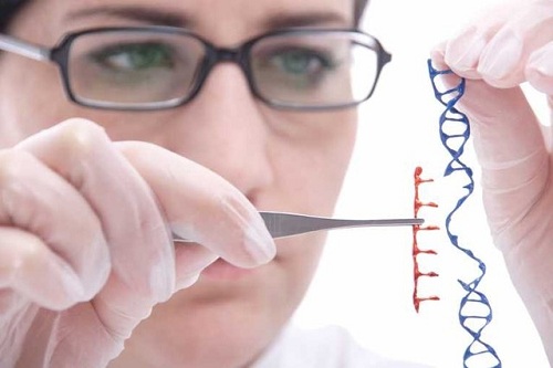 Bệnh ung thư có khả năng di truyền hay không?