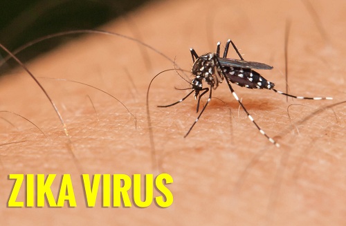 Virut Zika có ảnh hưởng đến người lớn không?