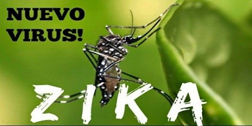 Virut Zika lây nhiễm qua đường nào?