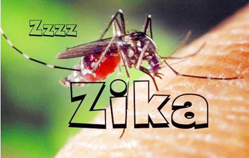Phát hiện bệnh nhân nhiễm virut Zika đầu tiên ở Phú Yên 