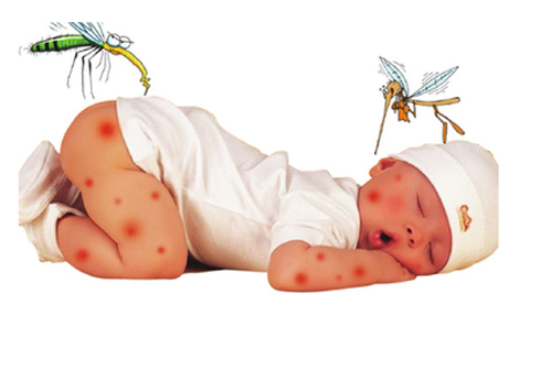 Những cách phòng bệnh sốt xuất huyết cho trẻ nhỏ