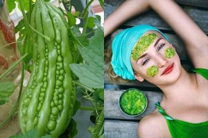 Mướp đắng giúp bạn thải độc và trị mụn hiệu quả