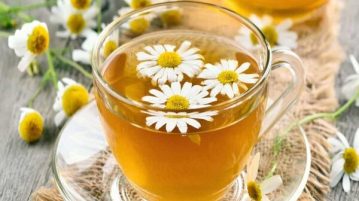Trà hoa cúc là vị thuốc quý trong chăm sóc sức khỏe